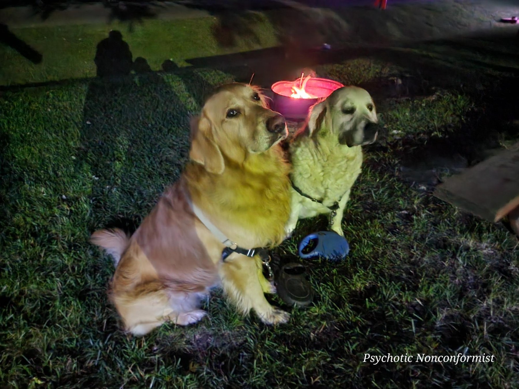 Shawn and Sammy Jo sitting by a campfire