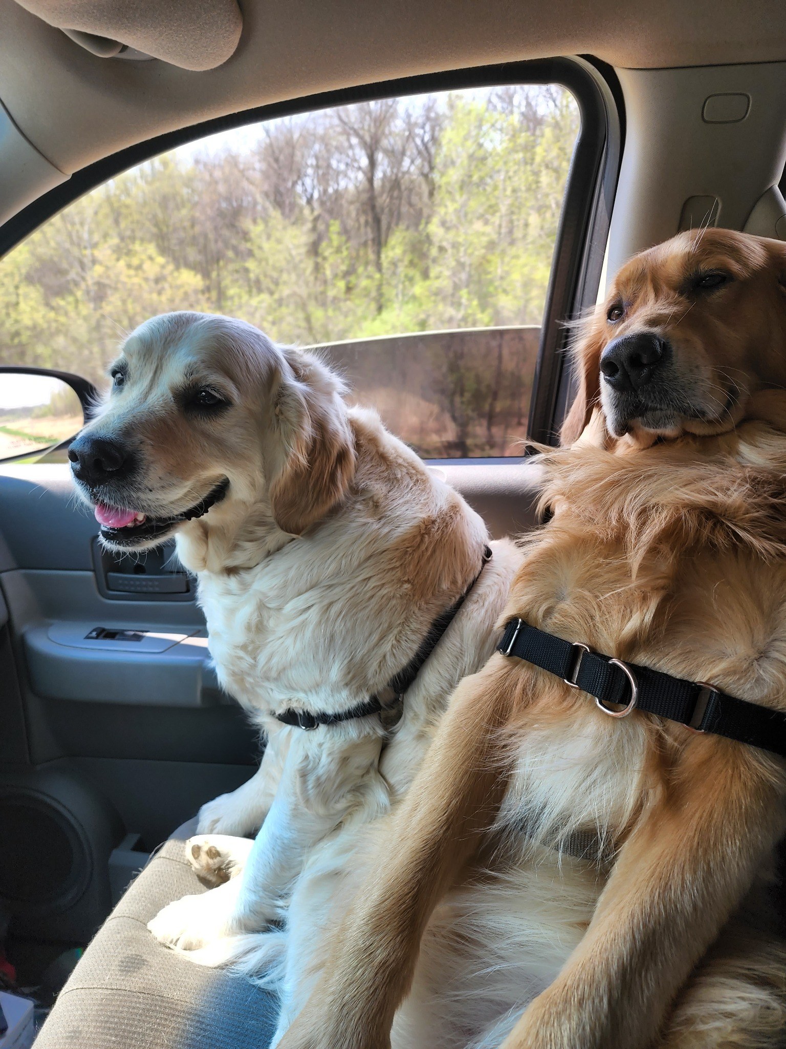 Shawn and Sammy Jo riding together