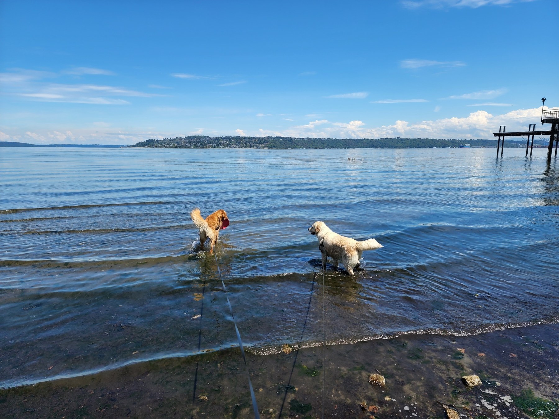 Shawn and Sammy Jo standing in the water